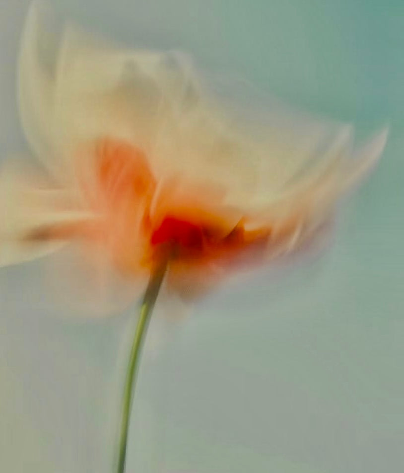 Botanicals
